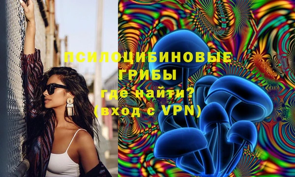 Альфа ПВП Беломорск