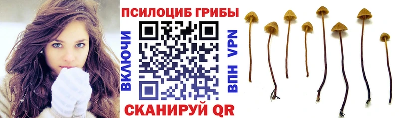 Галлюциногенные грибы мицелий  Шебекино 