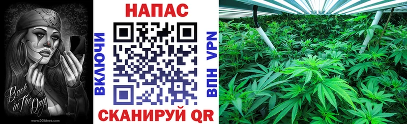 МАРИХУАНА OG Kush  Шебекино 